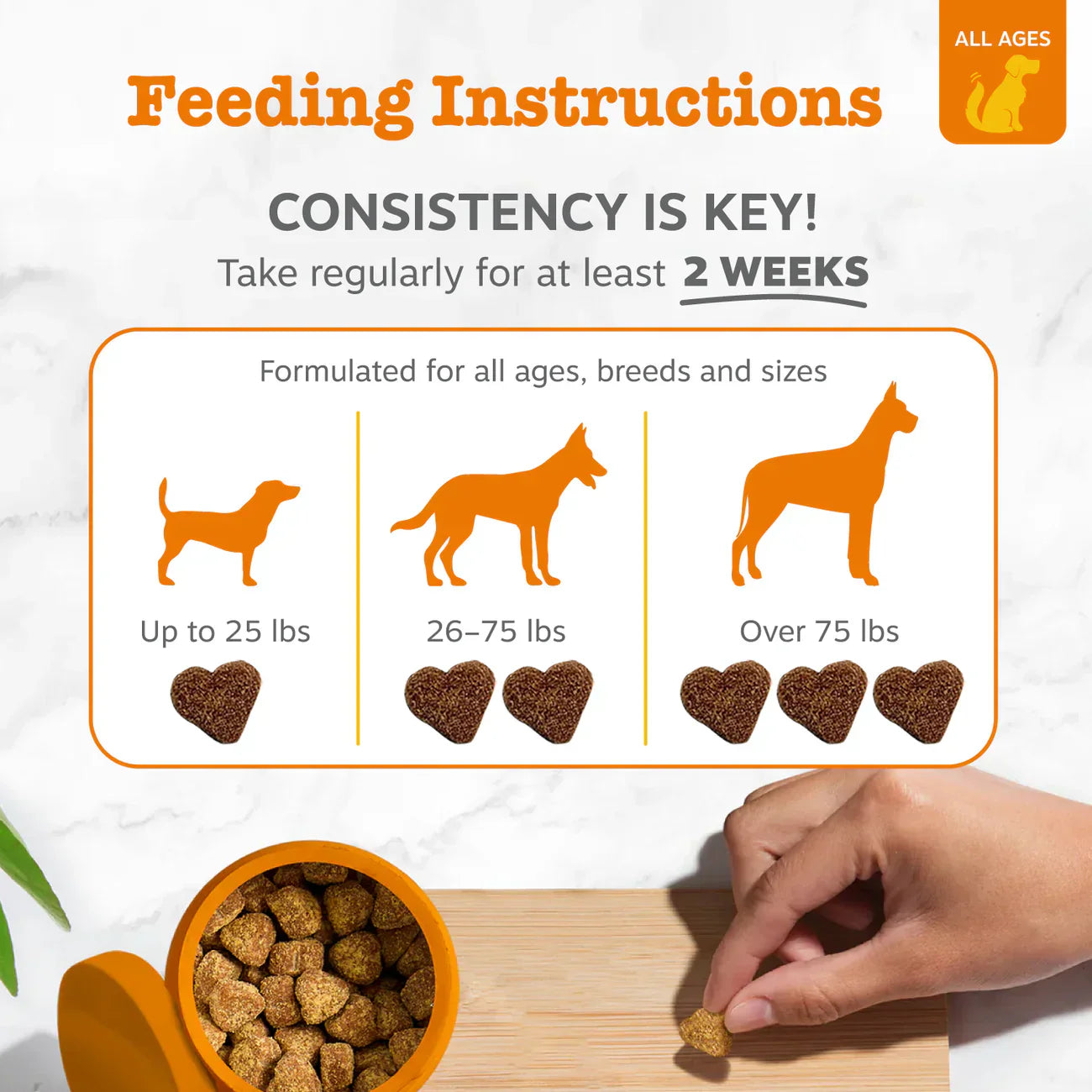 PawJourney® Probiotic Bites for Dogs and Cats (Digestive Enzymes for Gut Flora, Digestive Health, Diarrhea & Bowel Support, Pet Immune System - Clinically Studied DE111 - Chicken Flavor)