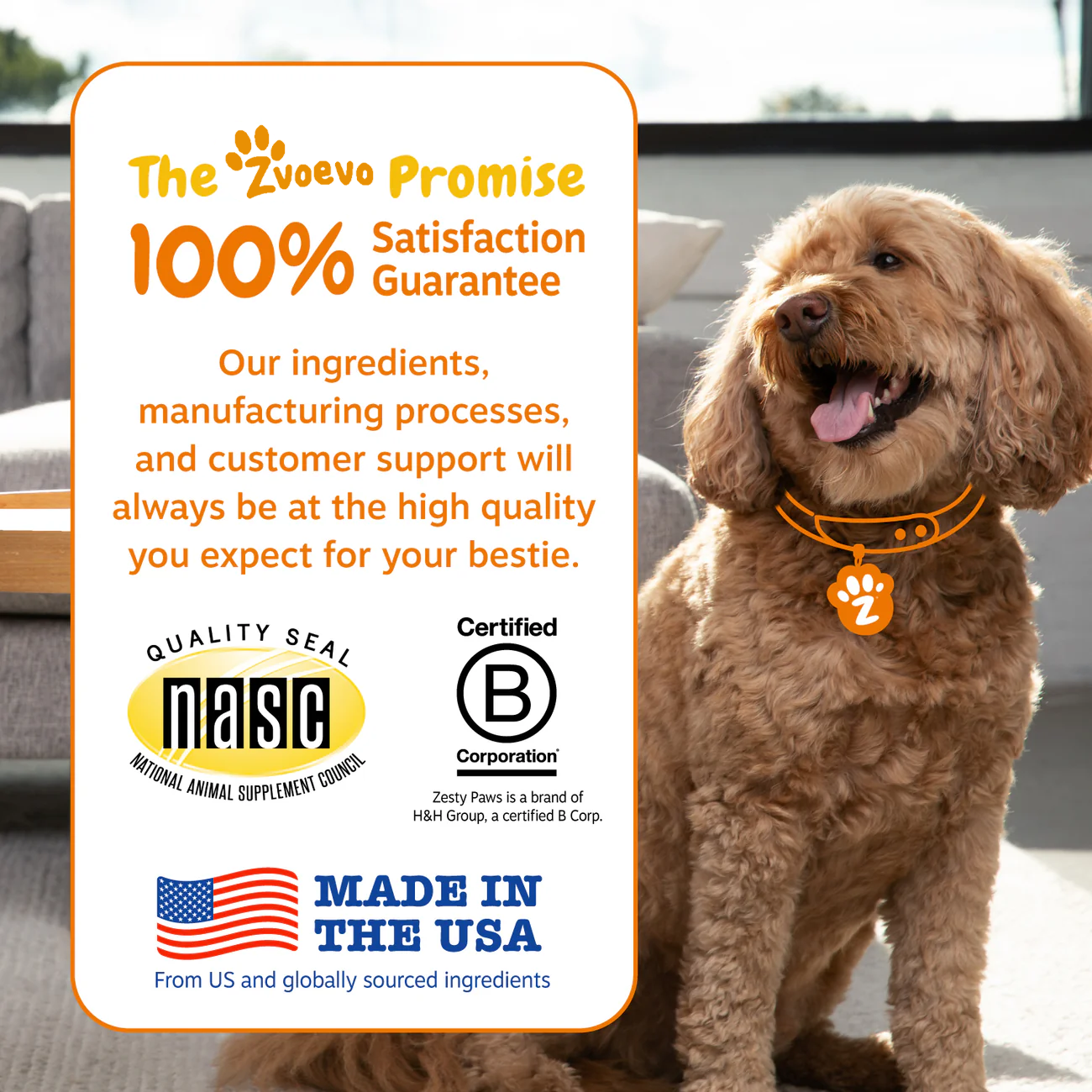 PawJourney® Probiotic Bites for Dogs and Cats (Digestive Enzymes for Gut Flora, Digestive Health, Diarrhea & Bowel Support, Pet Immune System - Clinically Studied DE111 - Chicken Flavor)