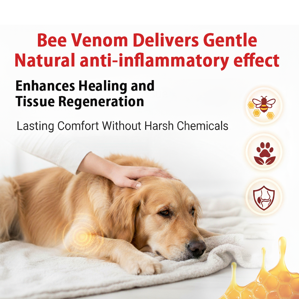 PawJourneyยฎ Purified ๐๐ฒ๐ฒ ๐ฉ๐ฒ๐ป๐ผ๐บ Peptide Power for Pets ๐๐จ๐ข๐ง๐ญ ๐๐ฎ๐ฉ๐ฉ๐จ๐ซ๐ญ โ๏ธ