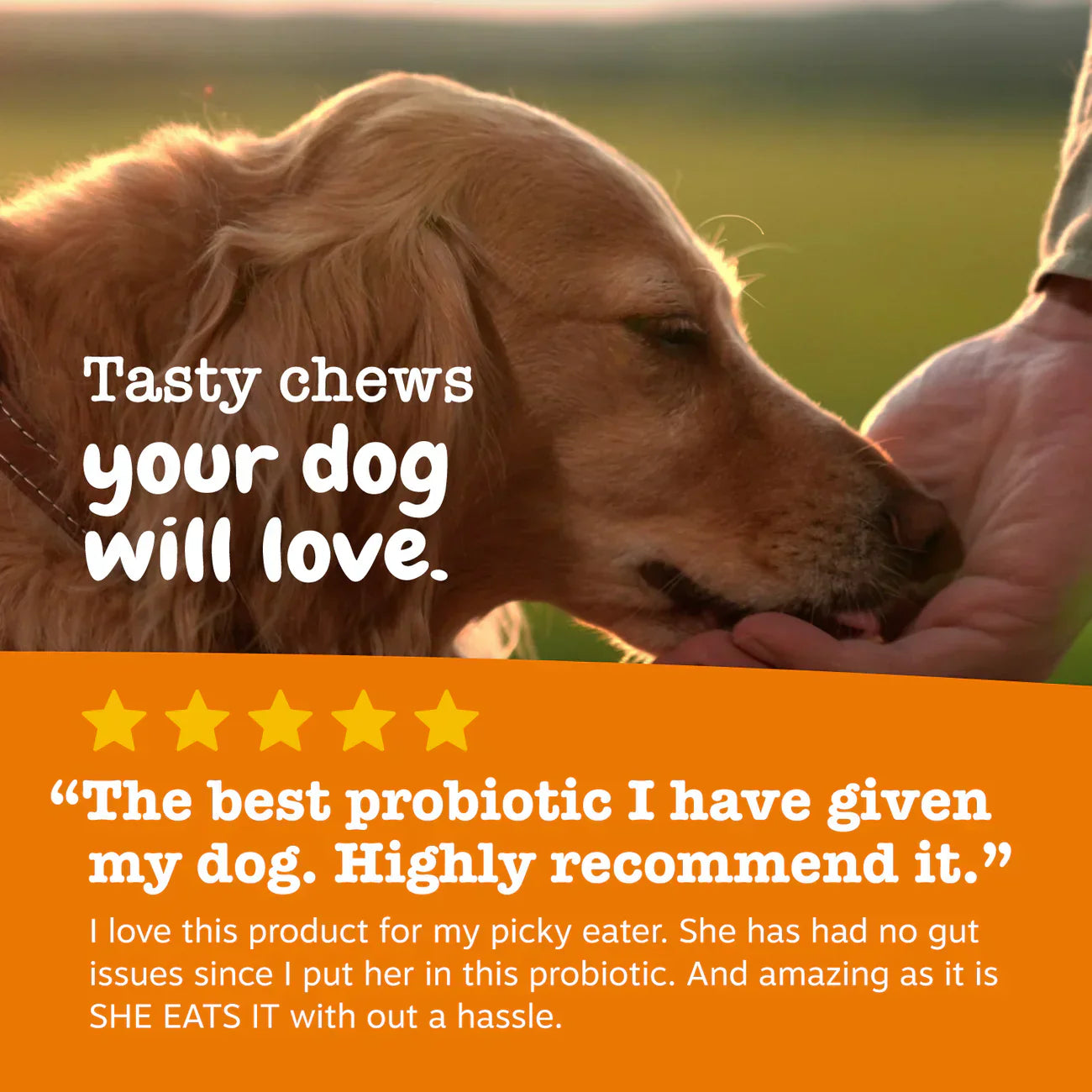 PawJourney® Probiotic Bites for Dogs and Cats (Digestive Enzymes for Gut Flora, Digestive Health, Diarrhea & Bowel Support, Pet Immune System - Clinically Studied DE111 - Chicken Flavor)
