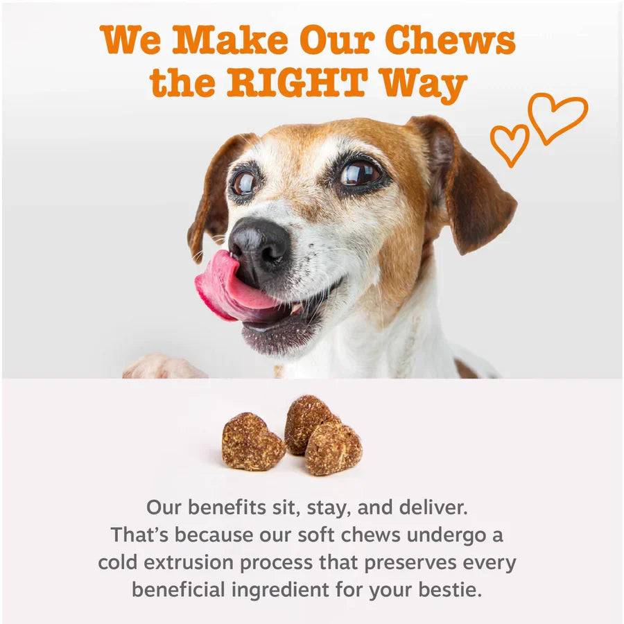 PawJourney® Probiotic Bites for Dogs and Cats (Digestive Enzymes for Gut Flora, Digestive Health, Diarrhea & Bowel Support, Pet Immune System - Clinically Studied DE111 - Chicken Flavor)
