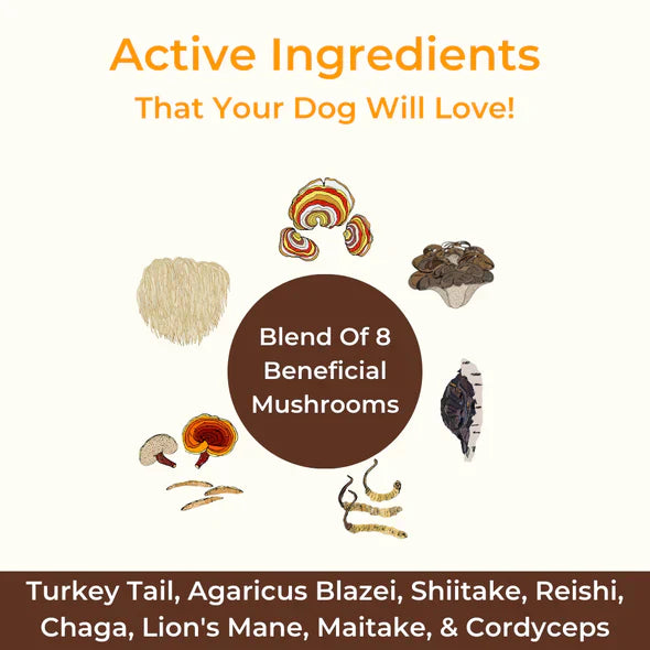PawJourney® PETMONT BUDDY GUARD: The Supplement For Dogs With Lumps & Bumps ❤️