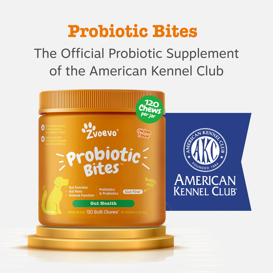 PawJourney® Probiotic Bites for Dogs and Cats (Digestive Enzymes for Gut Flora, Digestive Health, Diarrhea & Bowel Support, Pet Immune System - Clinically Studied DE111 - Chicken Flavor)