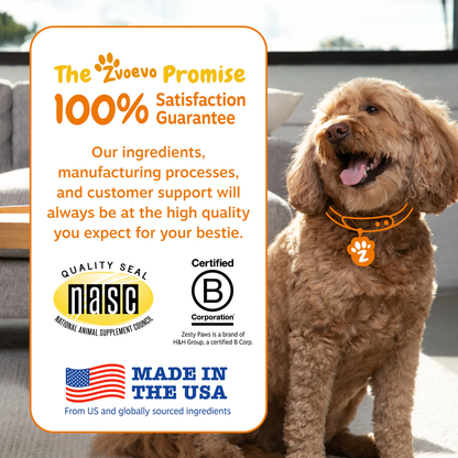 PawJourney® Probiotic Bites for Dogs and Cats (Digestive Enzymes for Gut Flora, Digestive Health, Diarrhea & Bowel Support, Pet Immune System - Clinically Studied DE111 - Chicken Flavor)