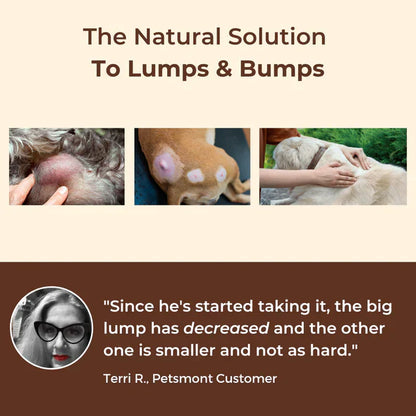 PawJourney® PETMONT BUDDY GUARD: The Supplement For Dogs With Lumps & Bumps ❤️